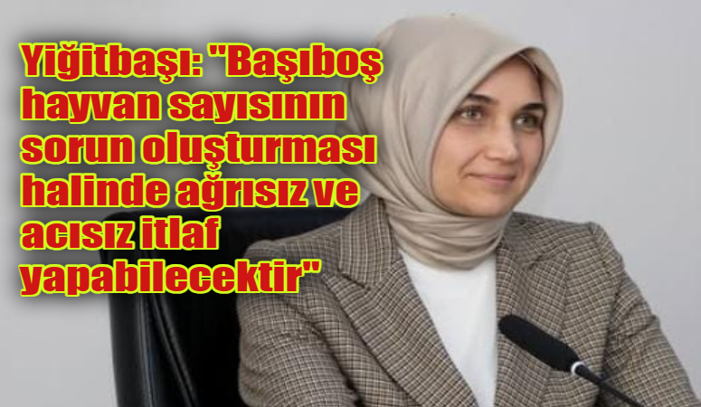 Afyonkarahisar Valisi Doç. Dr. Kübra Güran Yiğitbaşı, başıboş sokak köpeklerine